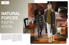 NEXT LOOK MEN TREND