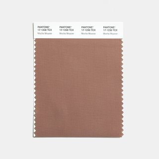 PANTONE ® COTTON SWATCH
double-layered, uncut
10 cm x 11 cm...