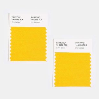 PANTONE ® COTTON SWATCH
2 MINIS, double-layered
5 cm x 5 cm each...